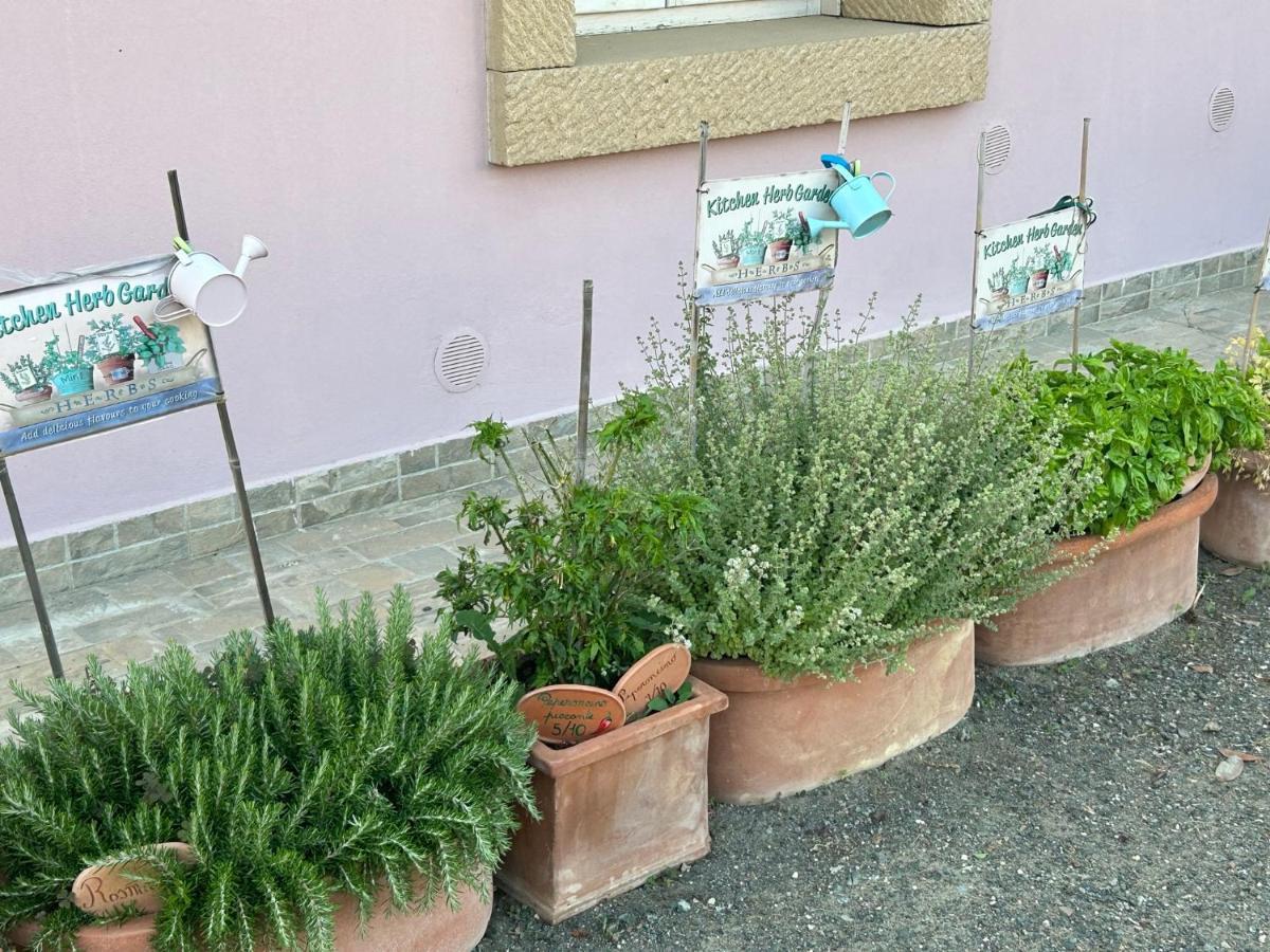 Aparthotel Fattoria Palazzeta - Pet & Family Friendly à Cecina  Extérieur photo